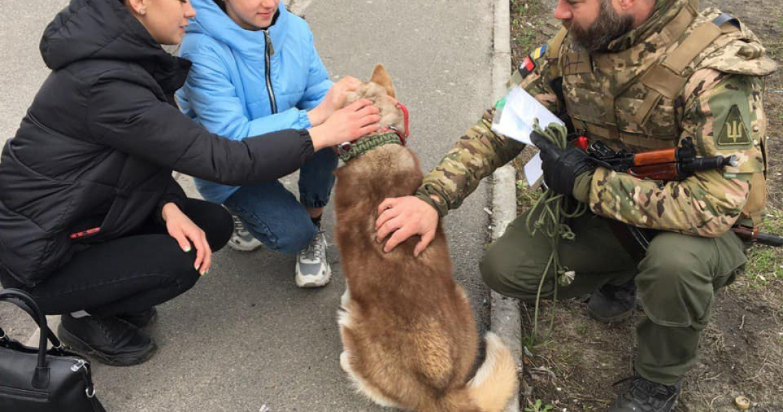 Ось і зістрілися ми із чудовою родиною власників Юккі